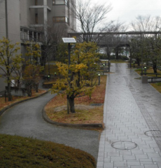 2灯式ポール付きタイプ（MDCP-01L/02L)の設置例16