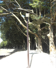 2灯式ポール付きタイプ（MDCP-01L/02L)の設置例42